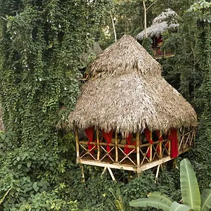 ** Resort Dominican Tree House Village Dominican Republic